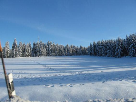 Ferienwohnung Bodehexe Braunlage Exterior foto